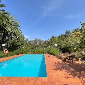 En Medio Del Bosque, El Lance Holiday home Firgas